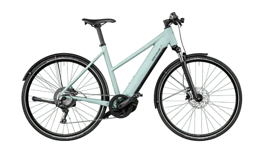 Roadster Mixte picture